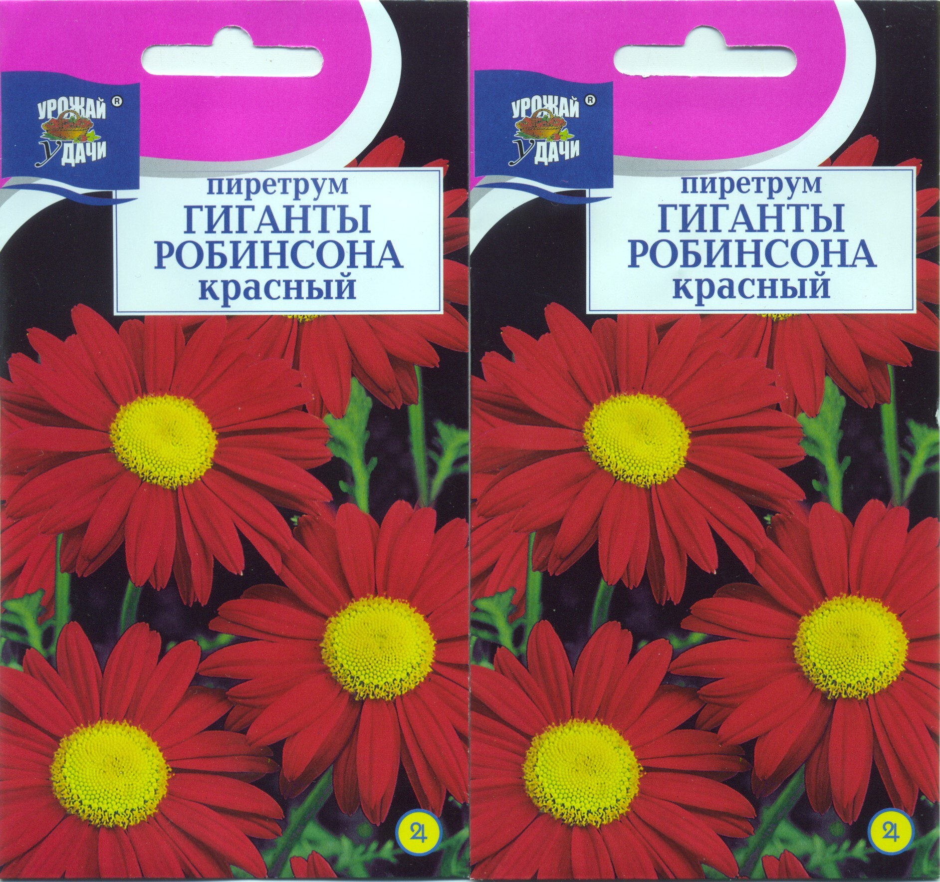 Пиретрум красный Гиганты Робинсона